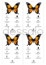 Ladda upp bild till gallerivisning, Skriv ut själv - Fjäril Browlift