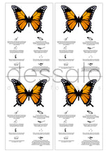 Ladda upp bild till gallerivisning, Skriv ut själv - Fjäril Fransförlängning