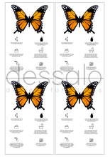 Ladda upp bild till gallerivisning, Skriv ut själv - Fjäril Lashlift